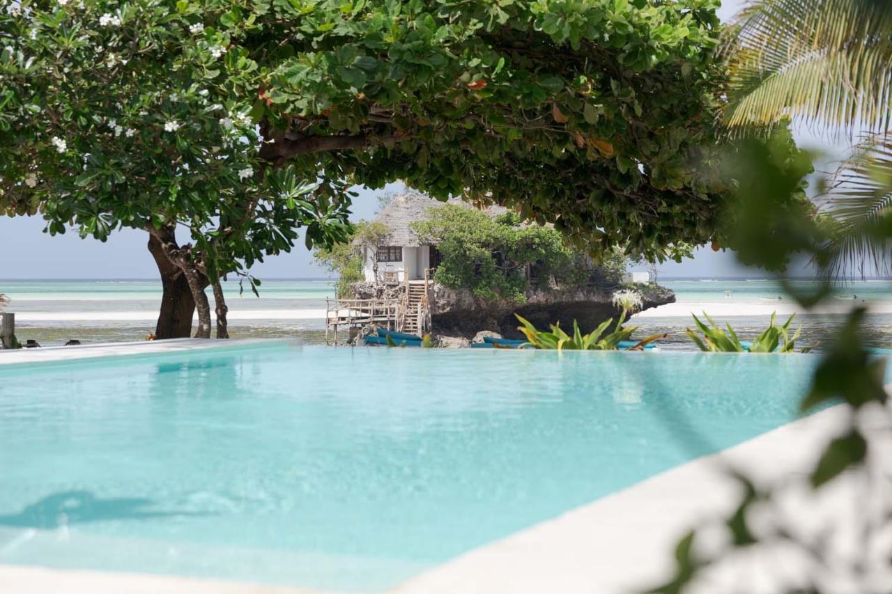 Suite Junior con vistas al jardín