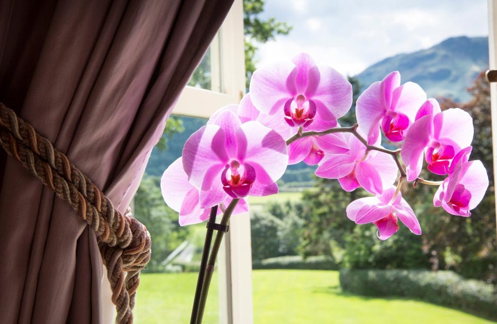 Double or Twin Room with Mountain View