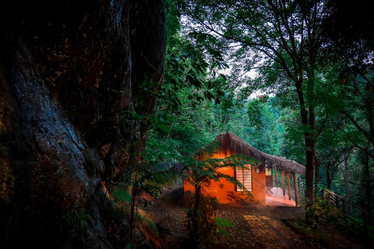 Mud House