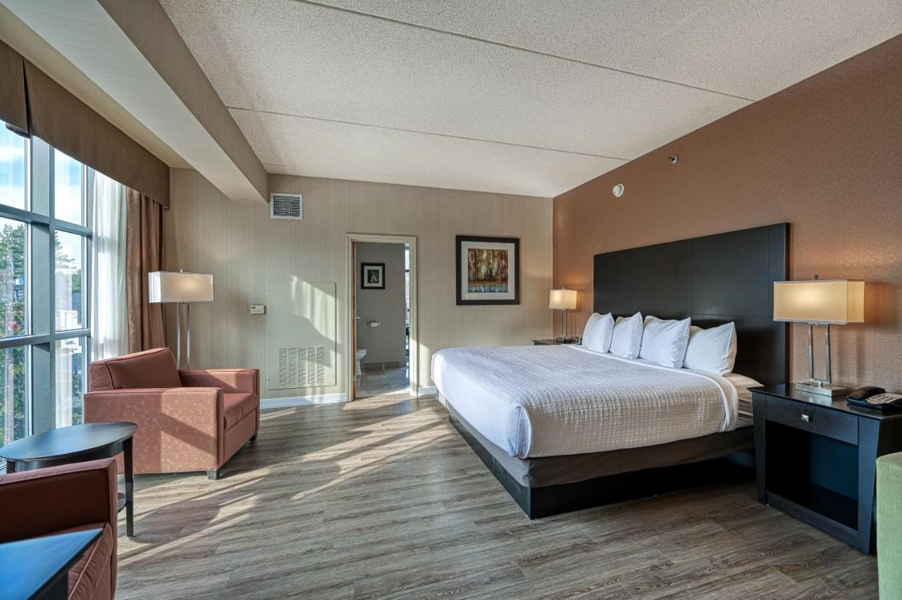 King Suite Sofa Bed Park View Non-Smoking