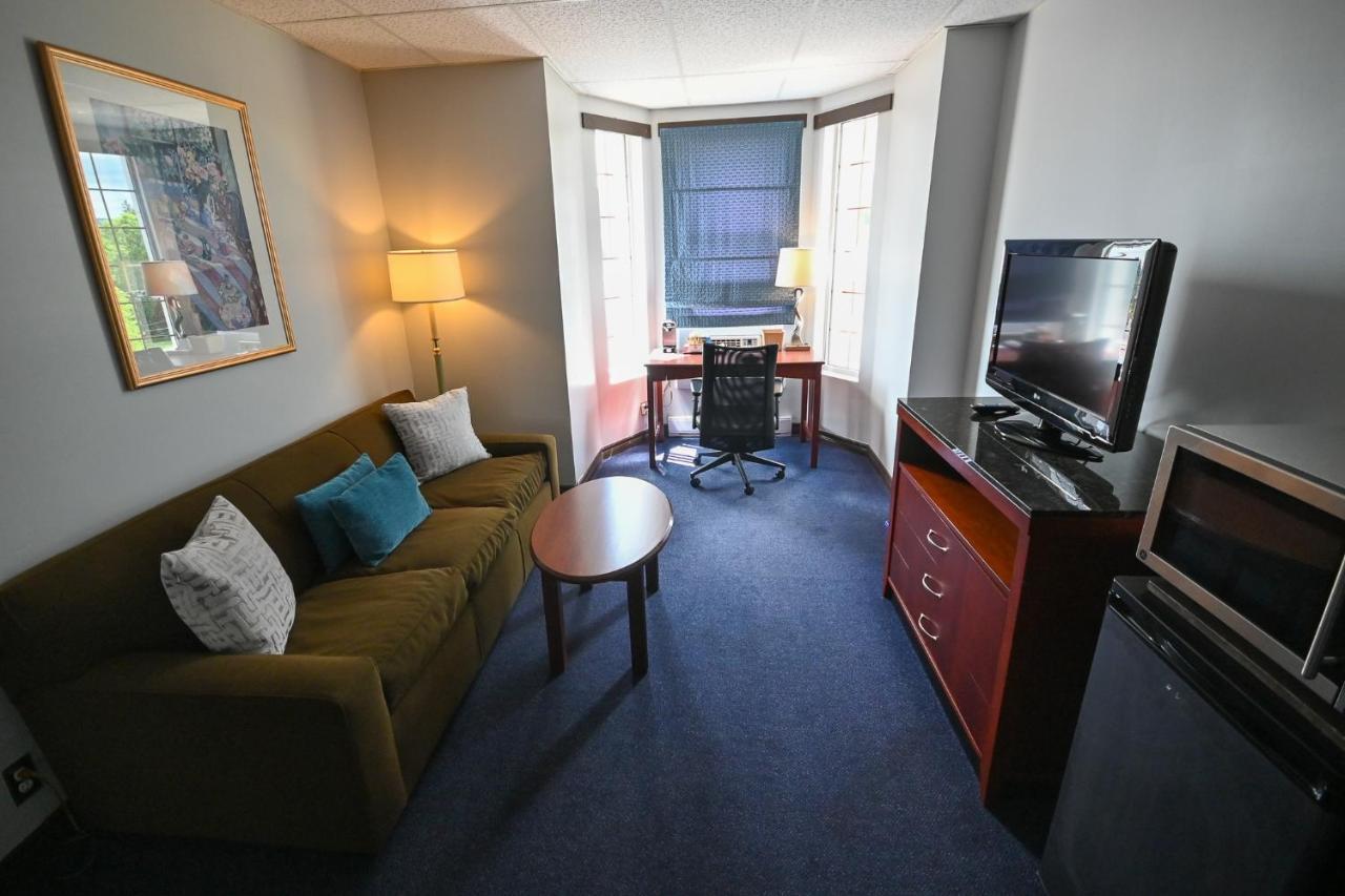 Room with One King Bed and Sofa Bed