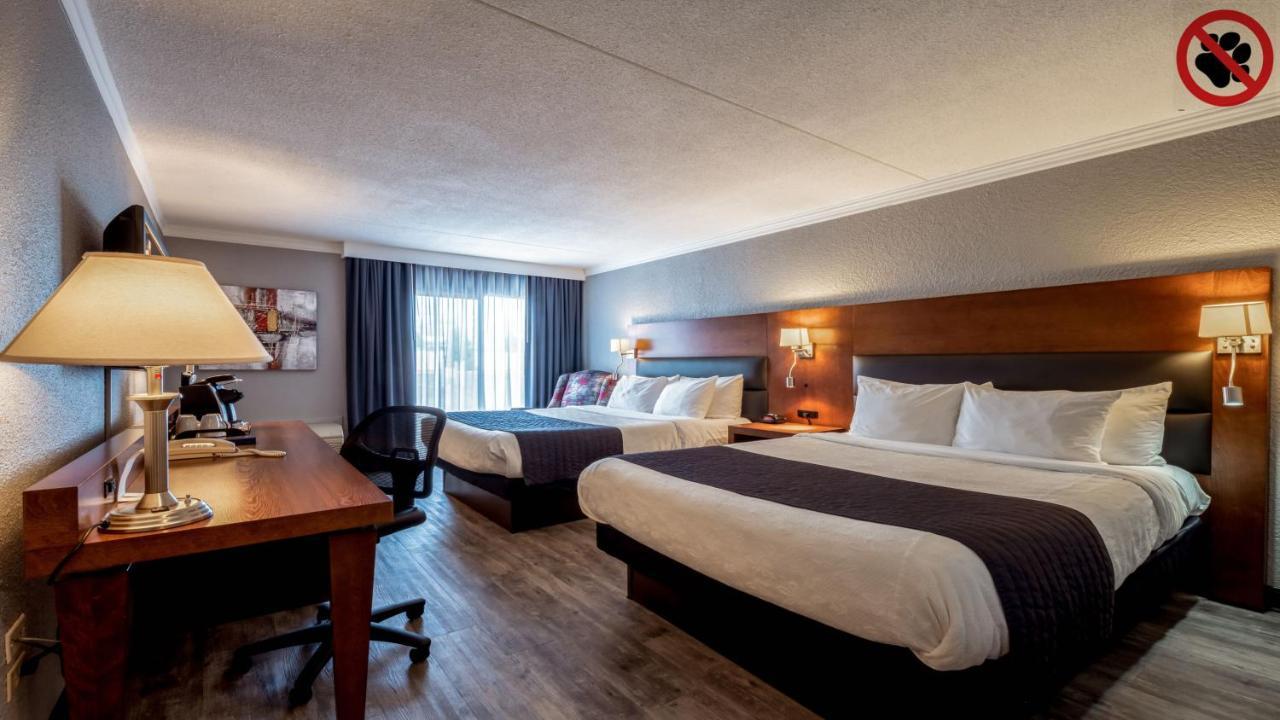 Queen Room with Two Queen Beds - Non Smoking - Pet Friendly