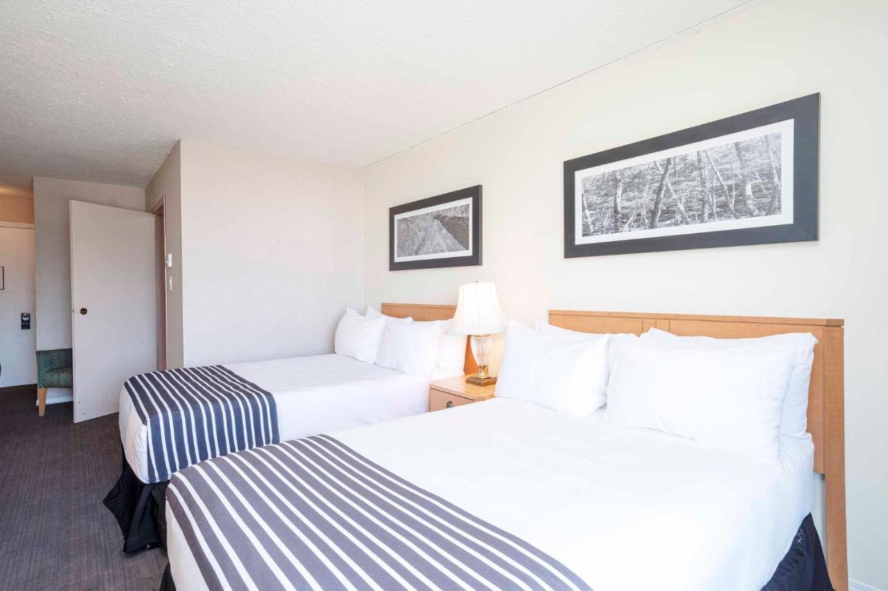 Standard Room, 2 Double Beds, Kitchenette