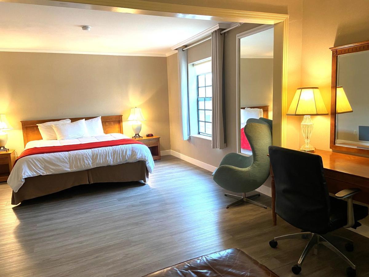 Suite Estudio con cama extragrande