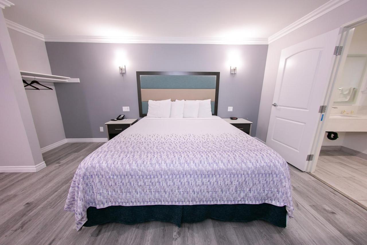 King Room - Non-Smoking