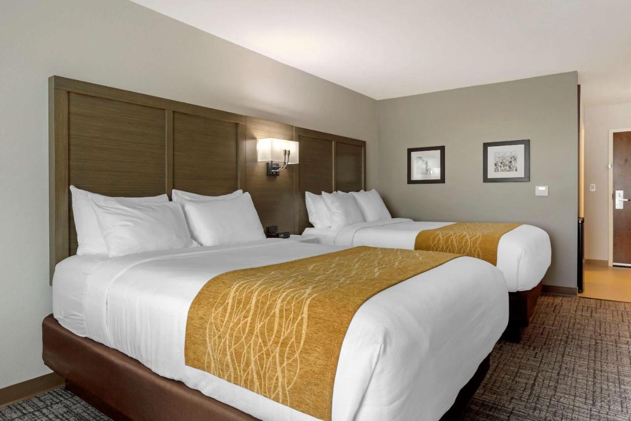 Standard Queen Room with Two Queen Beds - Non Smoking