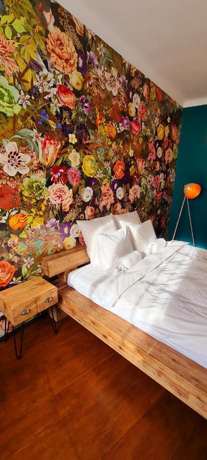 Apartamento Deluxe de 1 dormitorio