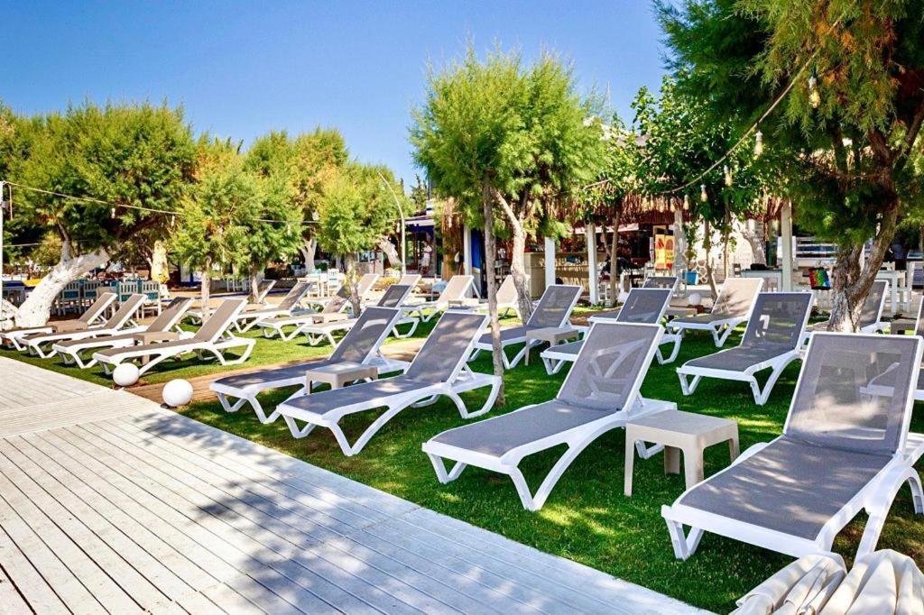 Çift Kişilik veya İki Yataklı Standart, Bahçe Manzaralı Oda