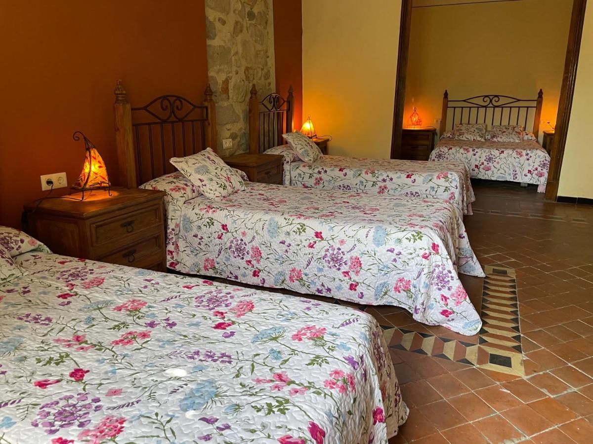 Family Room (4 Adults)