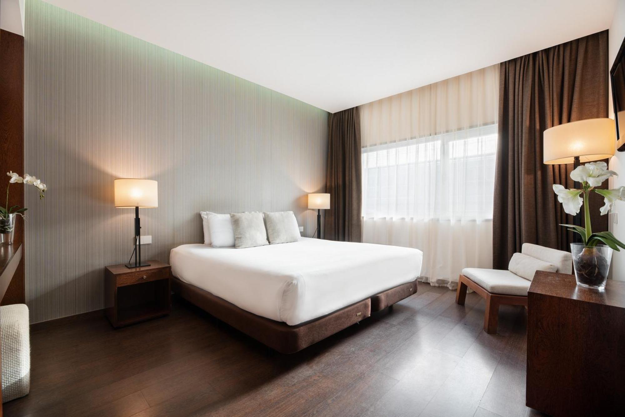 Suite Junior con terraza