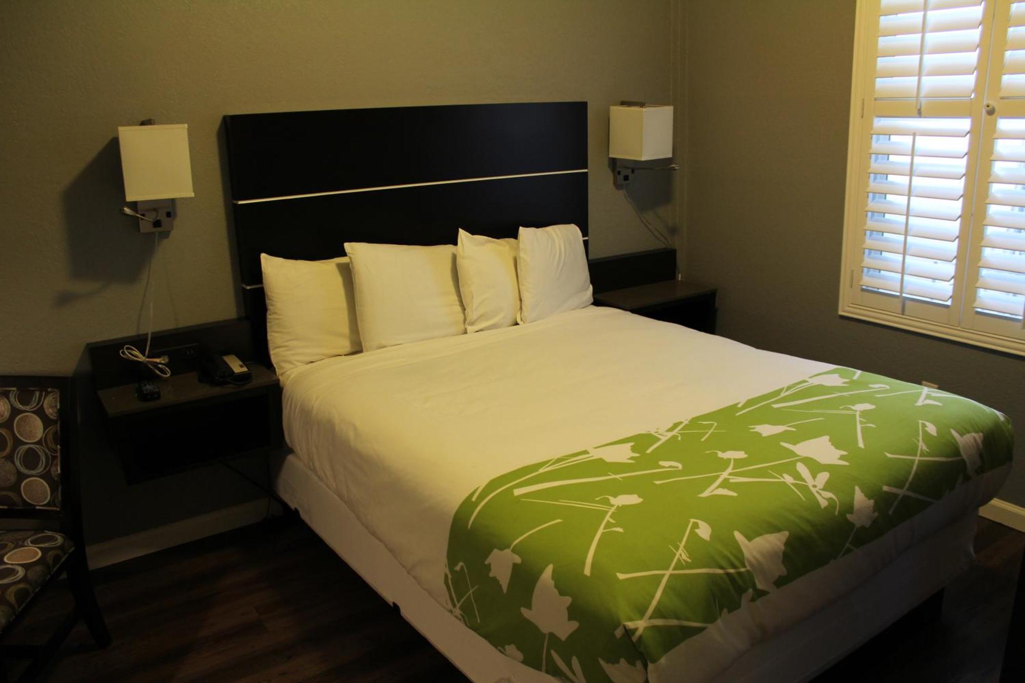 Standard Queen Room