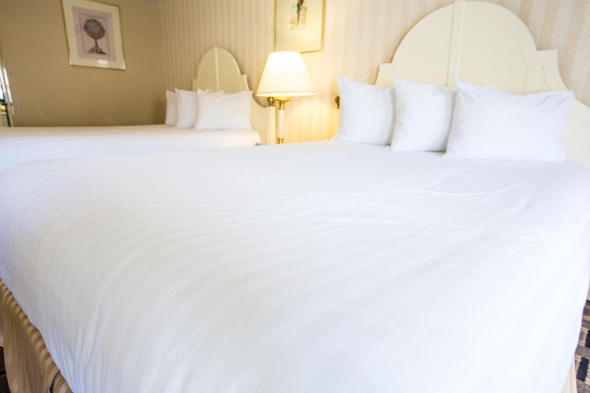 Queen Room Two Queen Beds Non-Smoking
