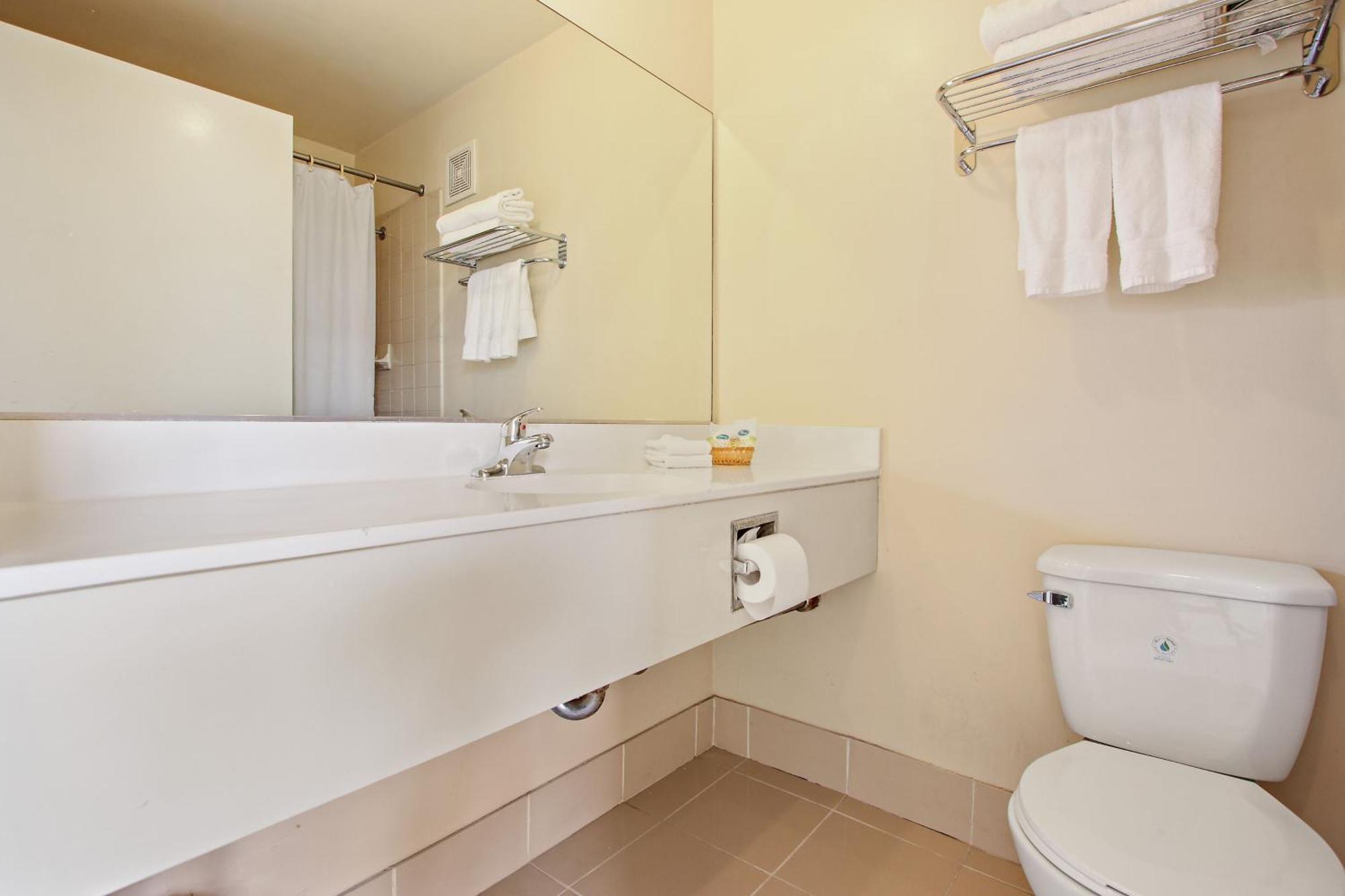 Habitación Individual Económica