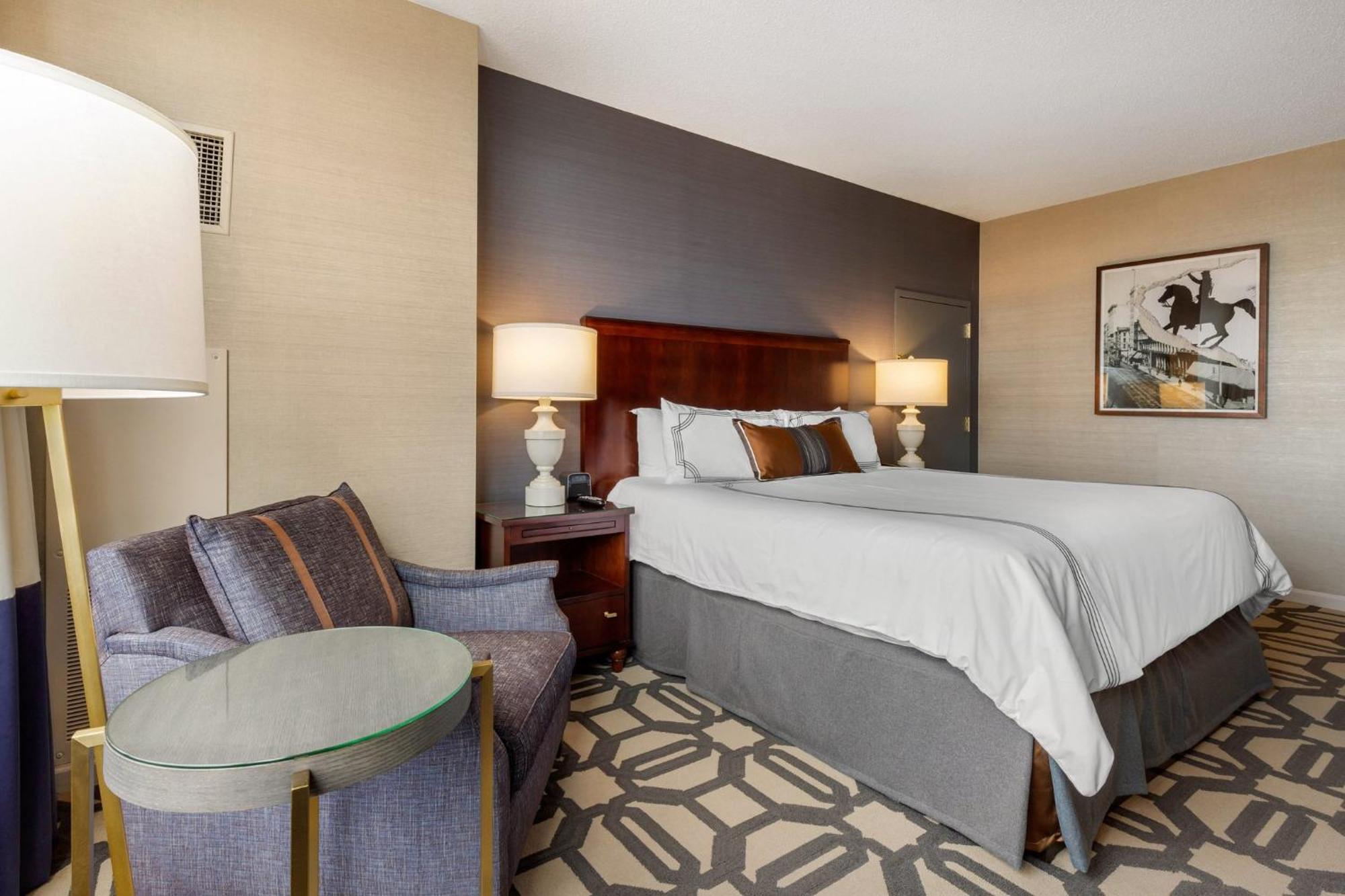 Spacious Executive Suite 1 King Bed