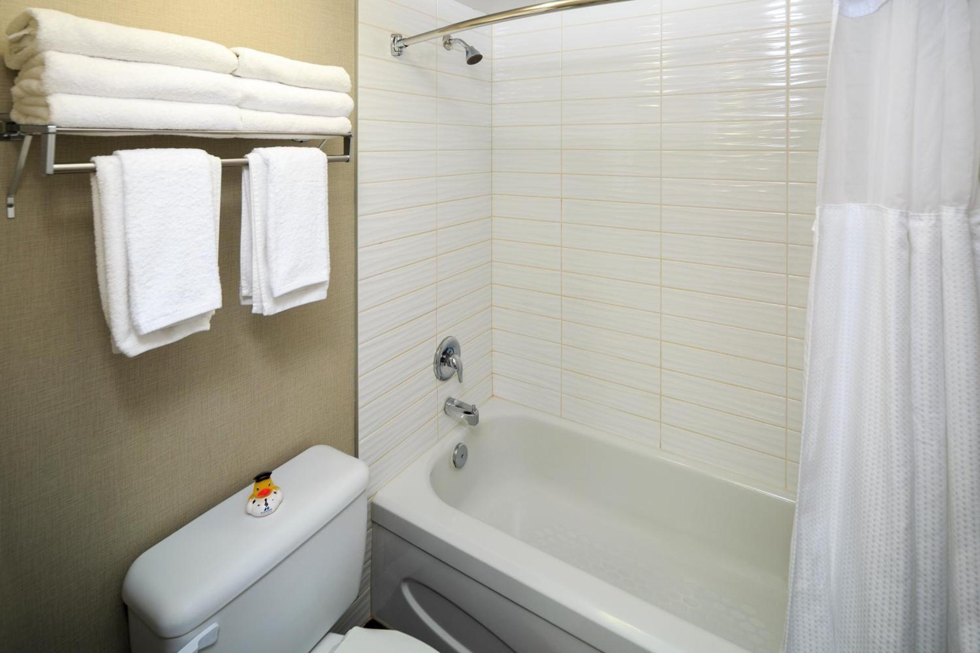 One Bedroom Suite