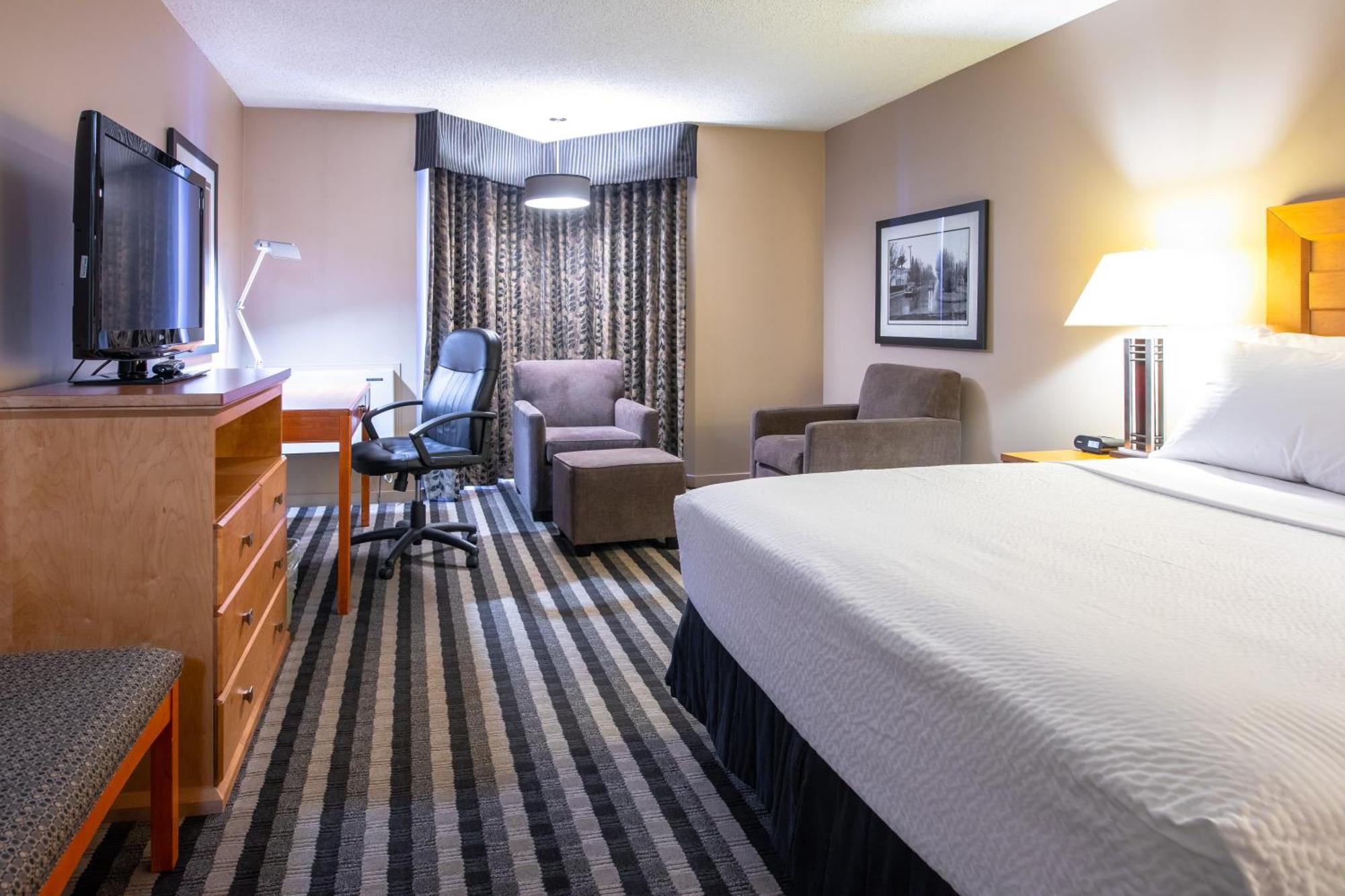 King Room - Pet Friendly/Non-Smoking