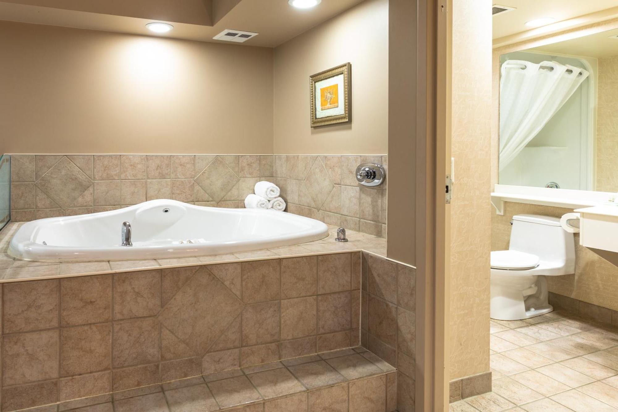 Deluxe One-Bedroom King Suite - Non-Smoking