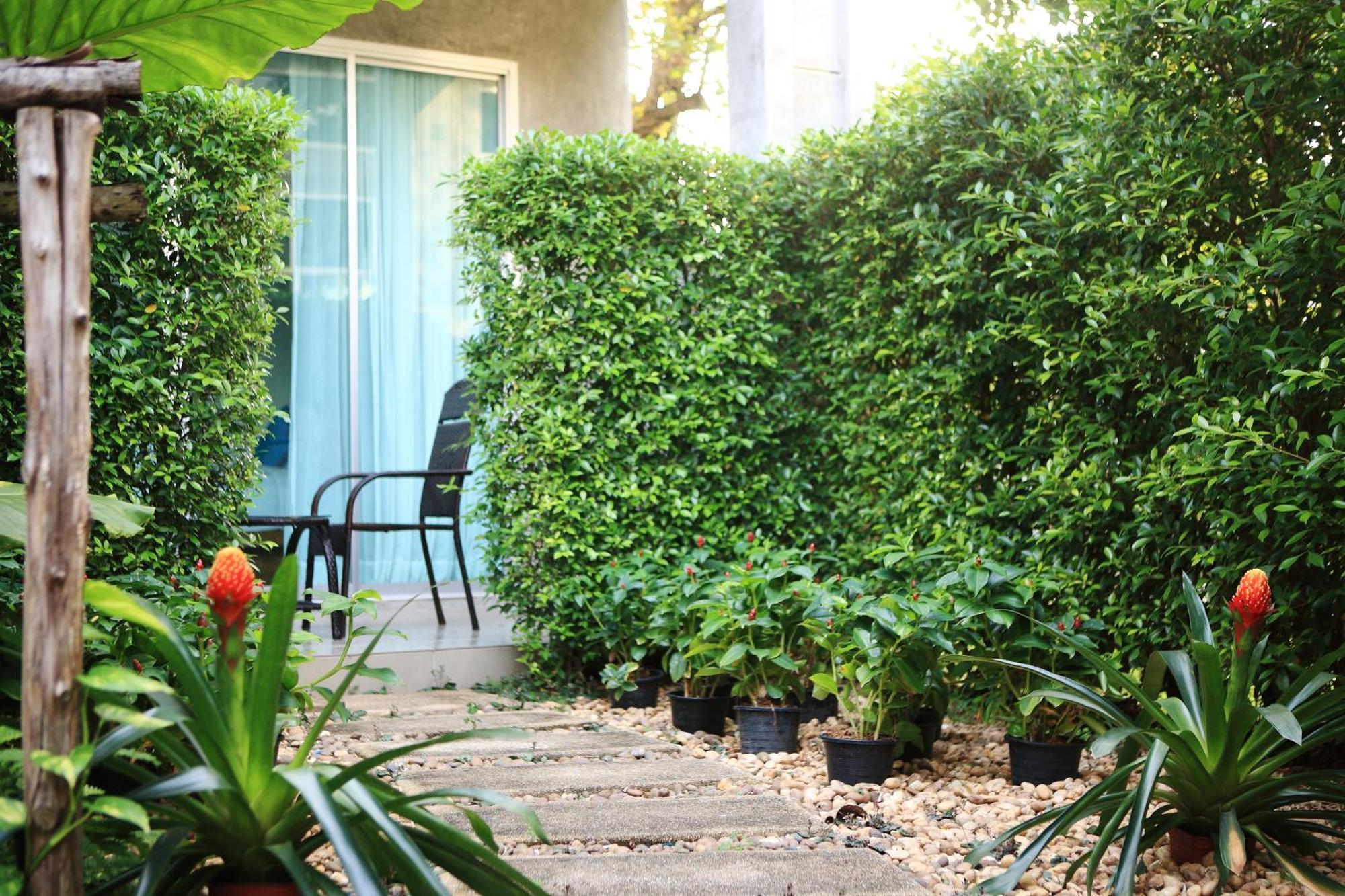 Room Garden View