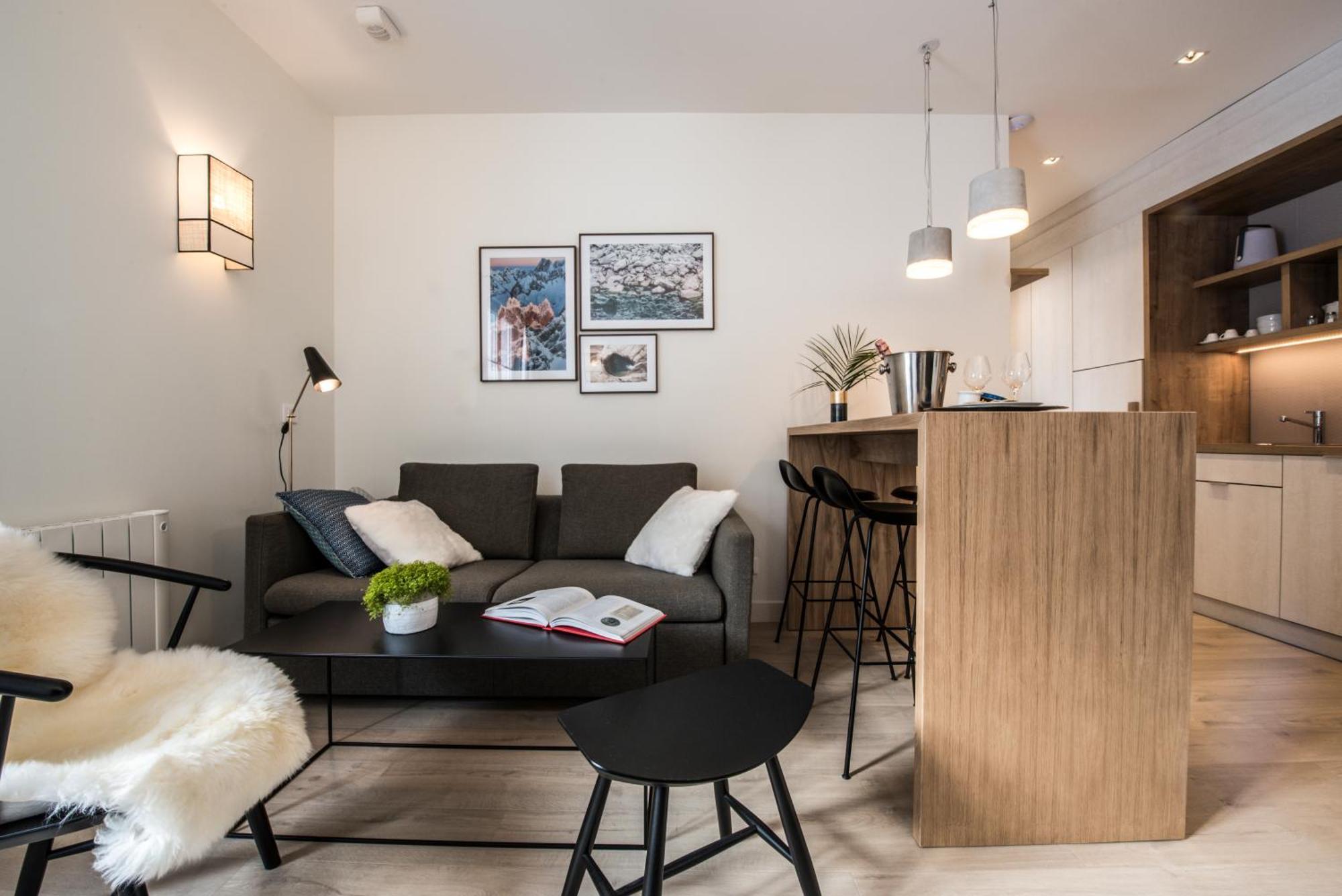 Superior One-Bedroom Apartment Montain view Balcony