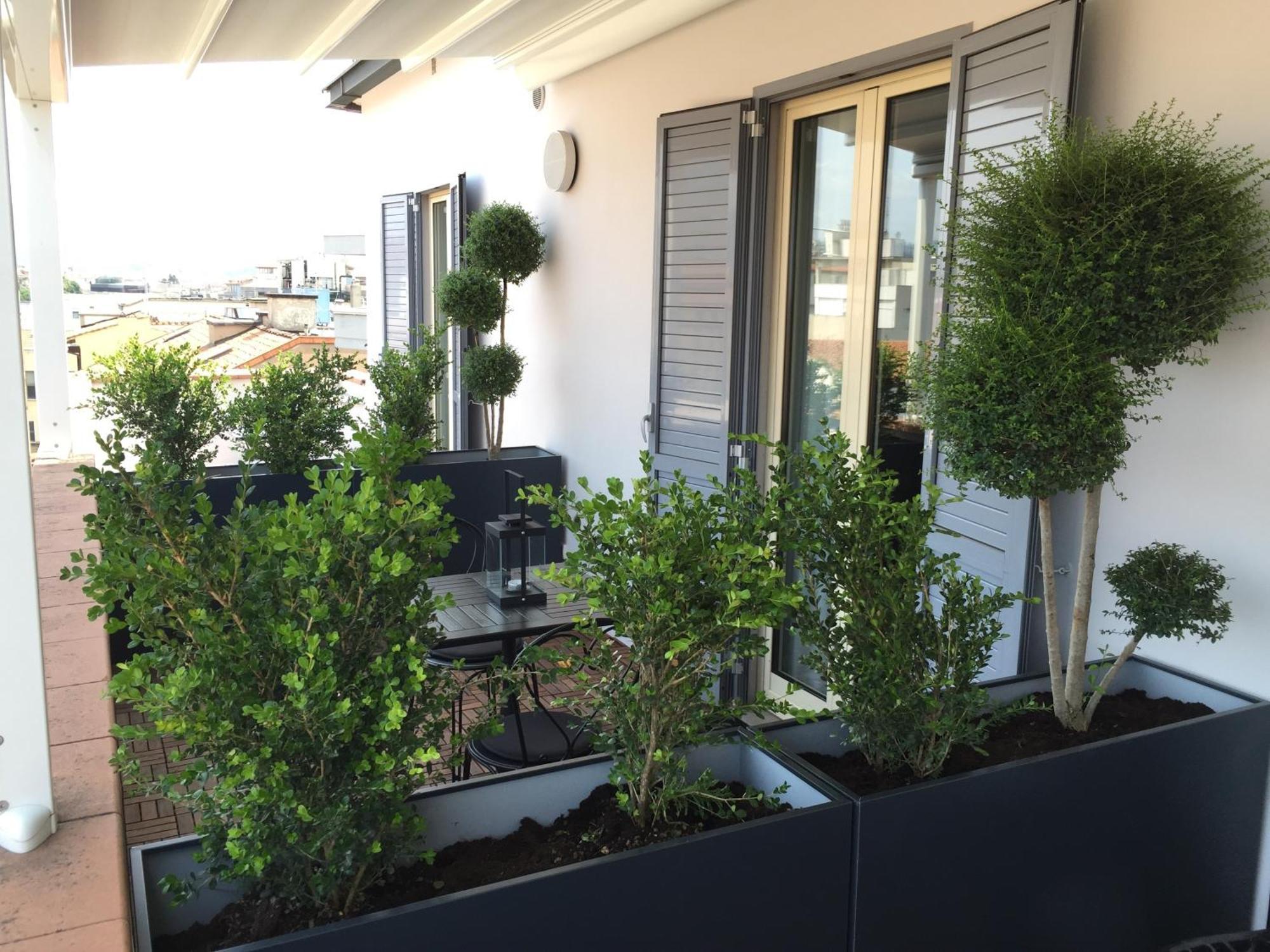 Superior Tweepersoonskamer met Terras