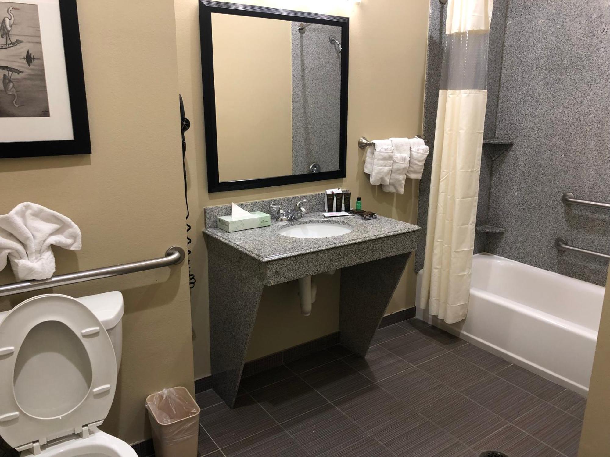1 King Bed 1 Bedroom, Presidential Mobility Accessible Suite, Non-Smoking