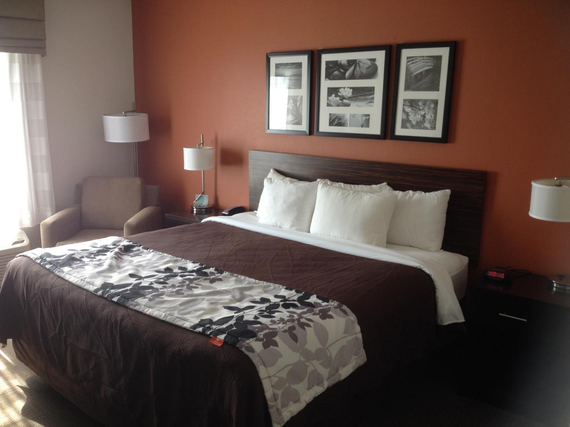 King Room - Accessible/Non-Smoking
