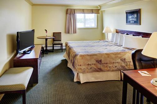Standard One-Bedroom Apartment