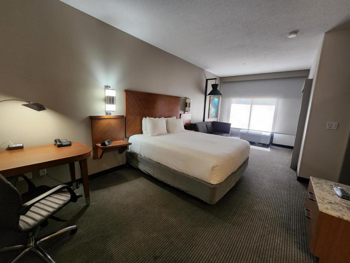 Chambre Lit King-Size avec Canapé-Lit et Baignoire Accessible aux Personnes à Mobilité Réduite