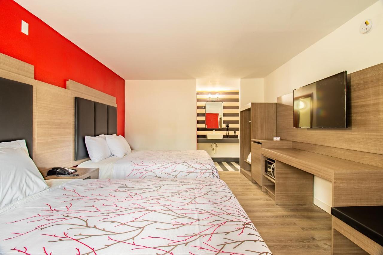 Habitación Doble en planta baja - 2 camas dobles