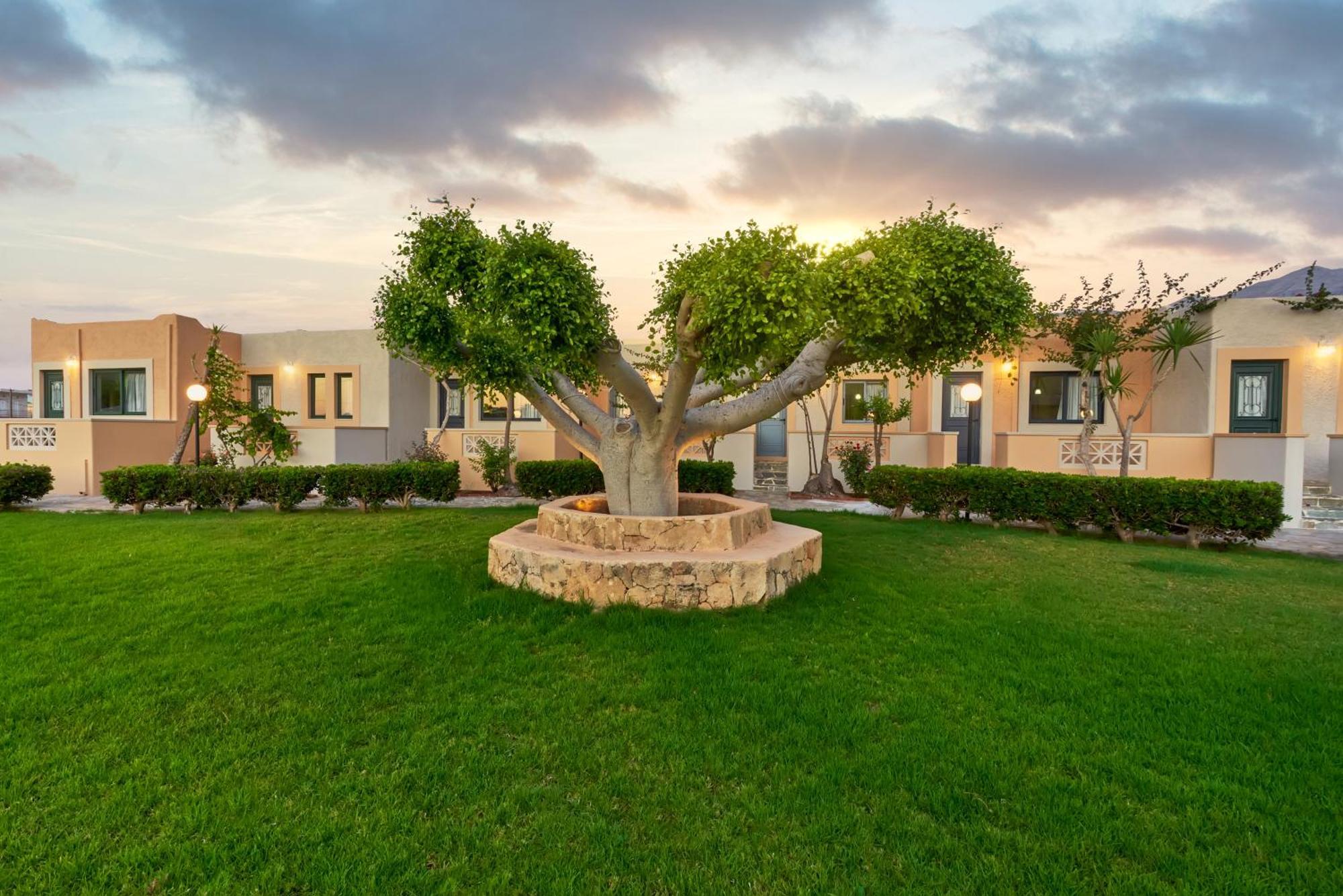 Studio Garden View,1771491637:JPEG