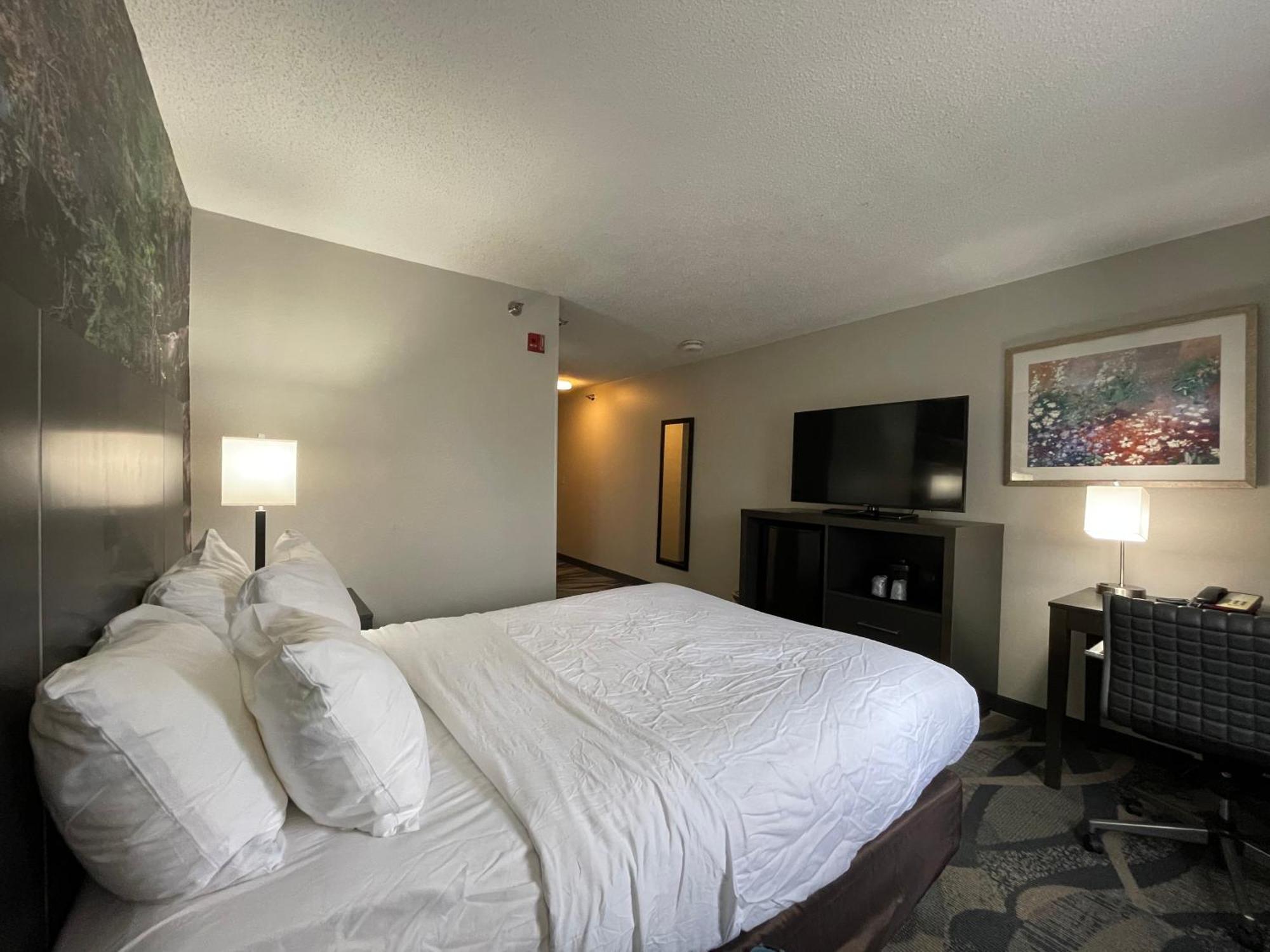 King Room - Non-Smoking