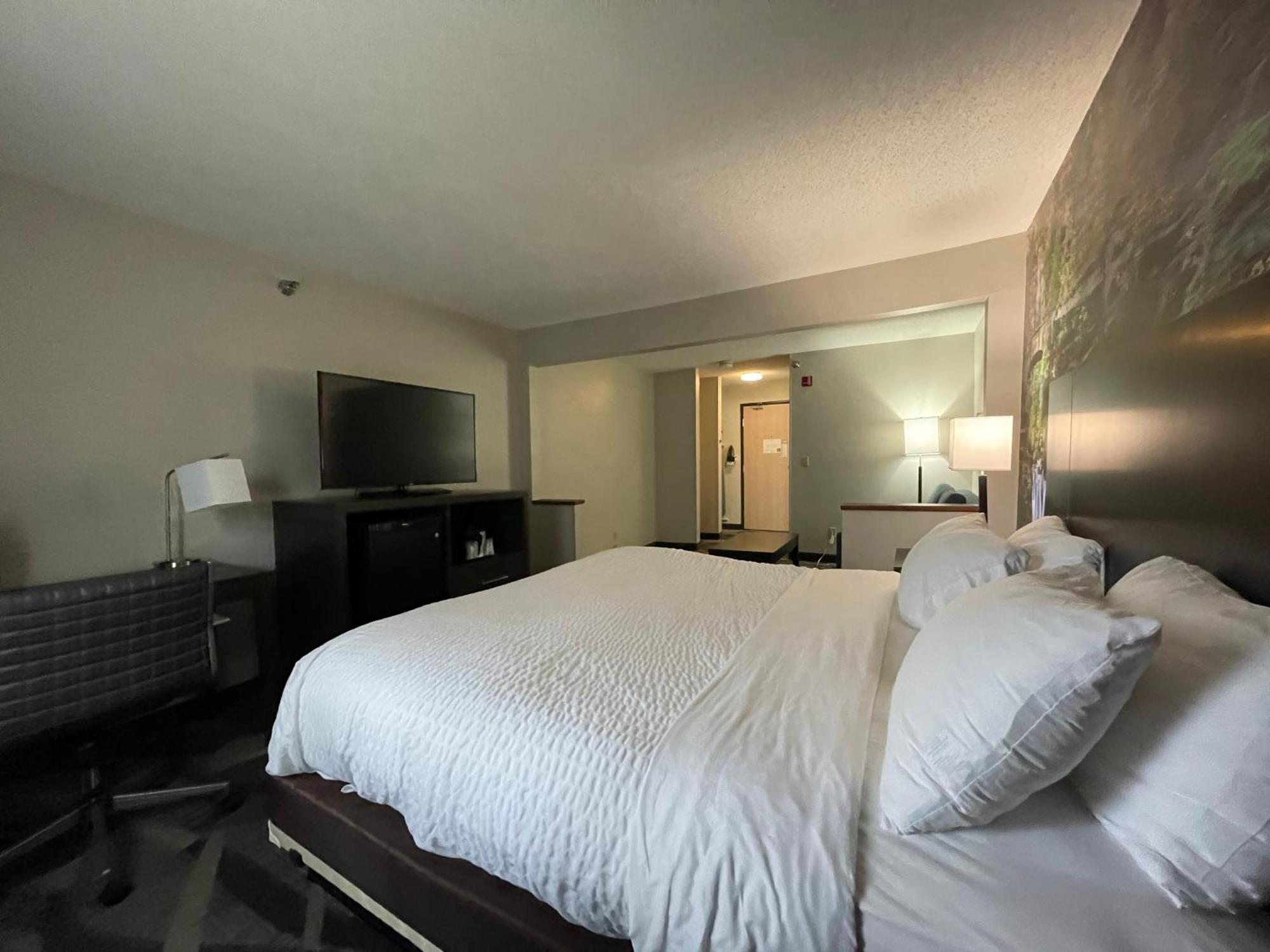 King Suite with Sofa Bed - Non-Smoking