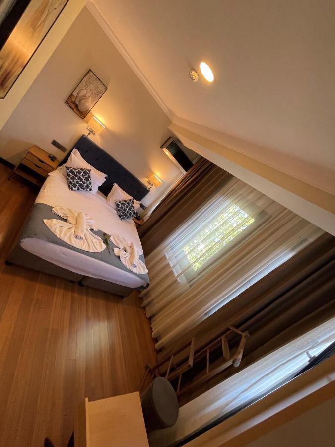 Standard Single Room,1229657729:JPEG