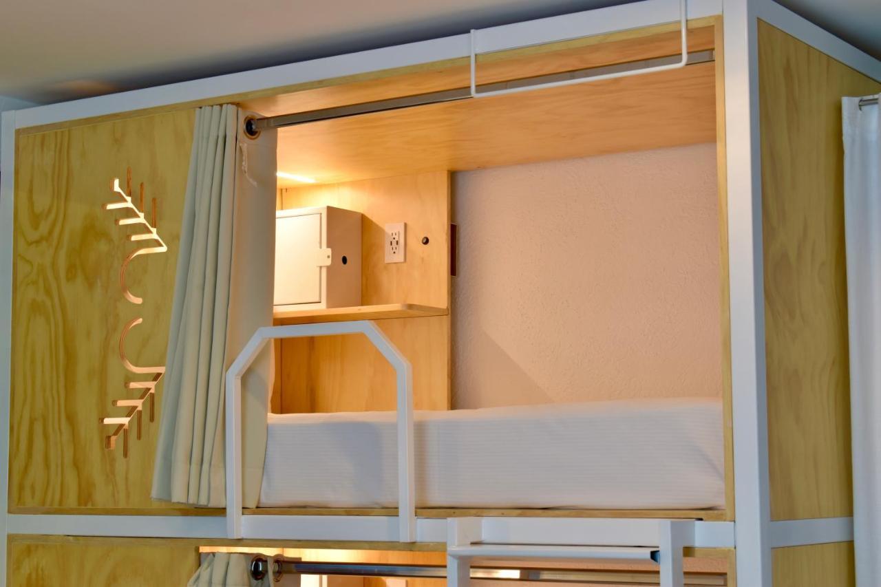 Bed in 6-Bed Dormitory Room