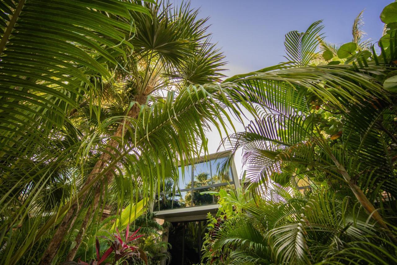 Junior Suite Garden View