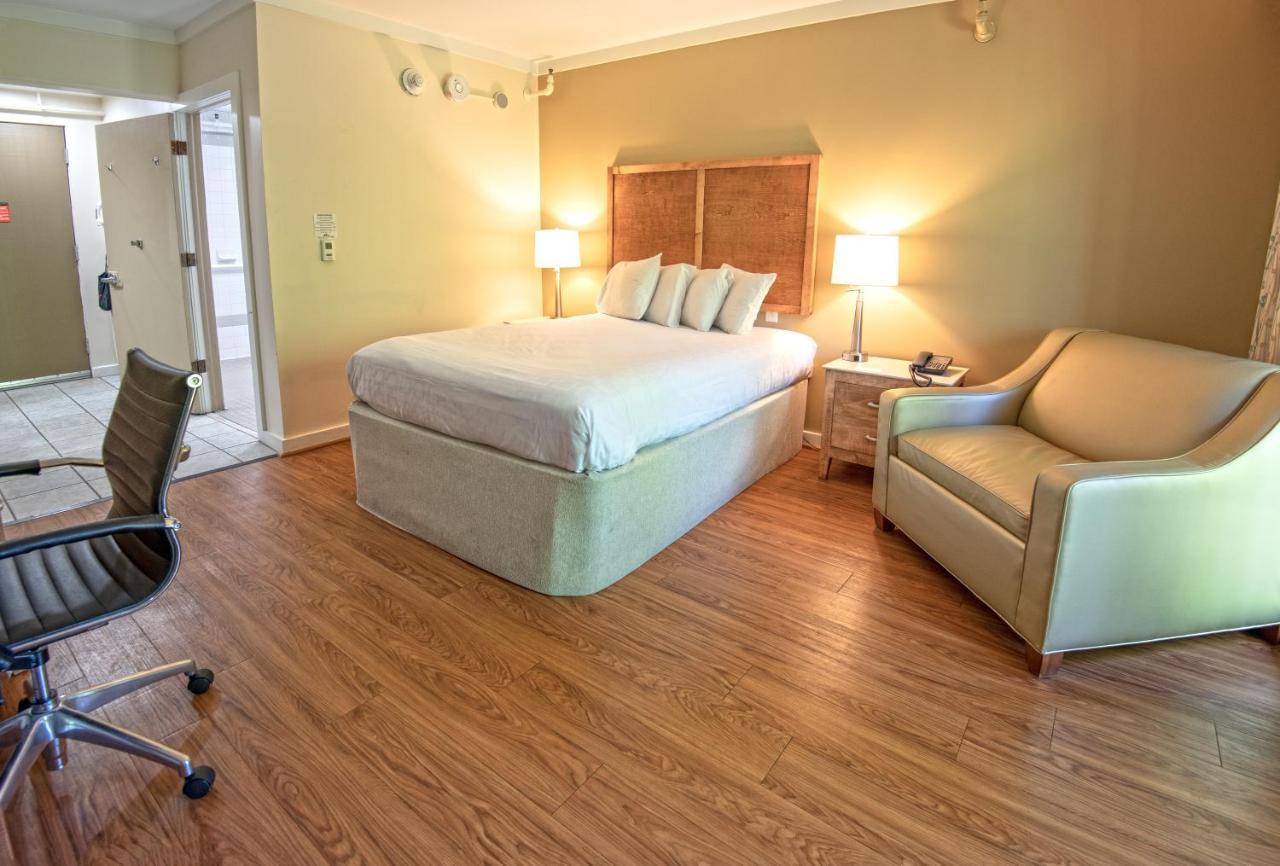 Queen Room - Disability Access