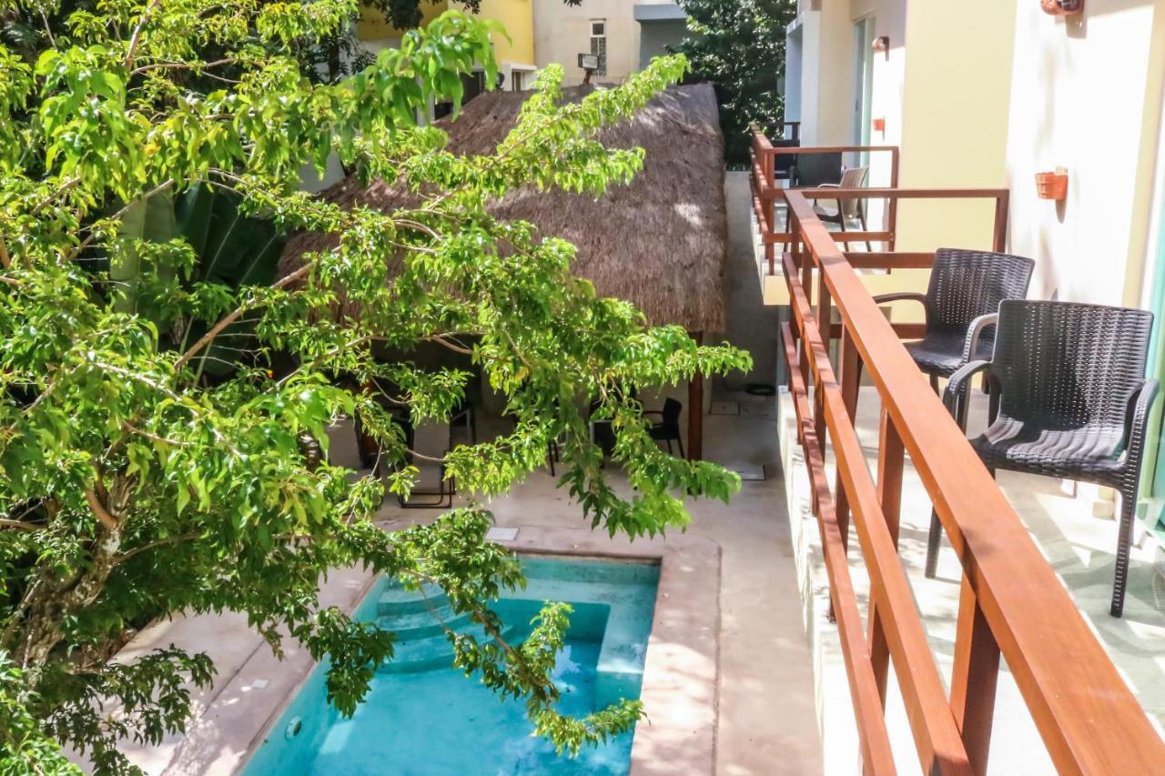 Apartment Pool View