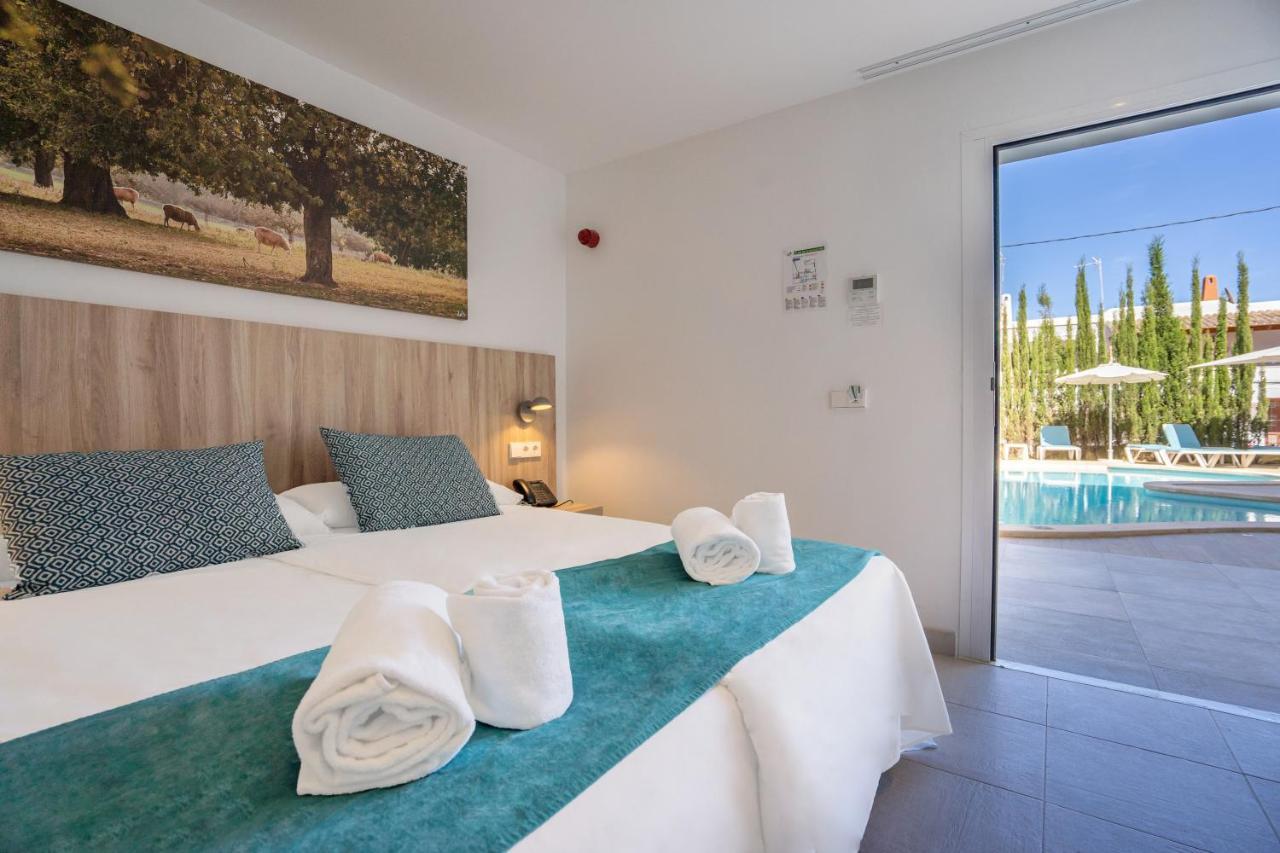 Double Room - Disability Access,1248099262:JPEG