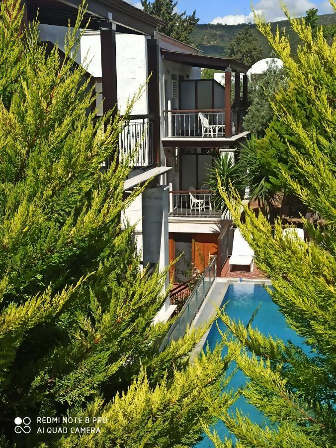 Studio Balcony