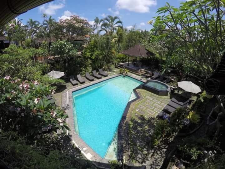 Double or Twin Room with Garden View
