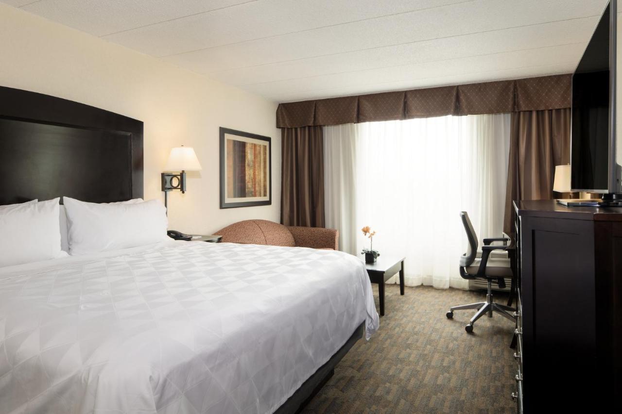 Standard King Room with Sofa Bed