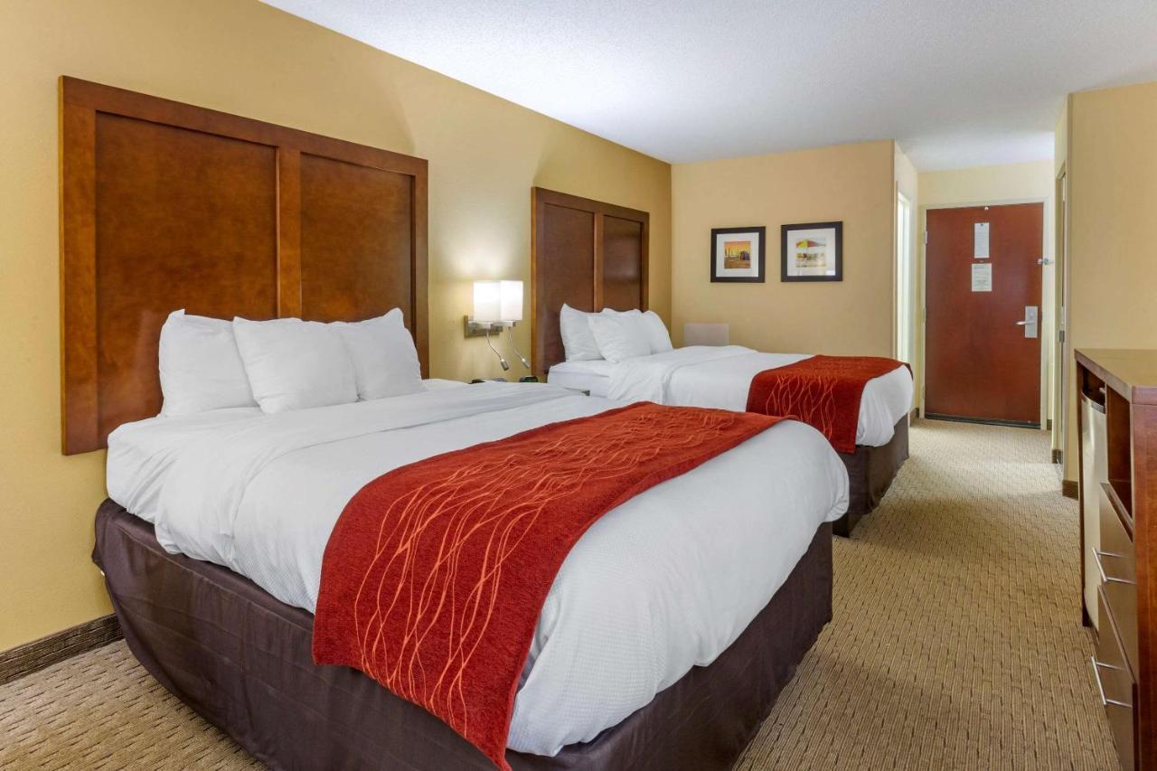 Queen Room with Two Queen Beds - Non-Smoking