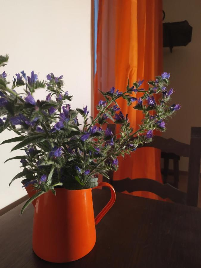 Großes Doppelzimmer