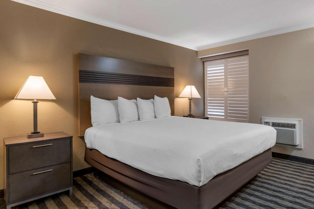 Executive King Room - Non-Smoking