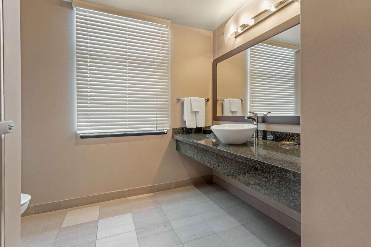 King Room Roll Shower Disability Access