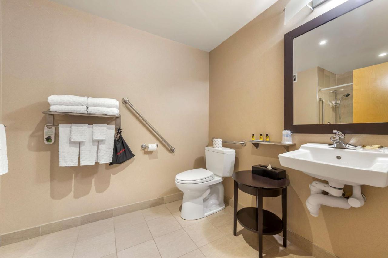 King Room Roll Shower Disability Access