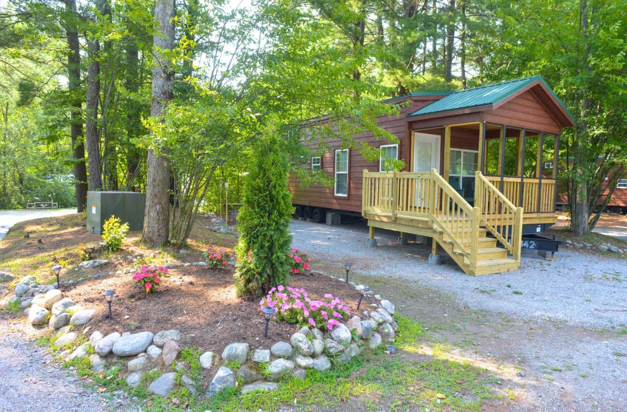 One-Bedroom Loft Cabin Premium