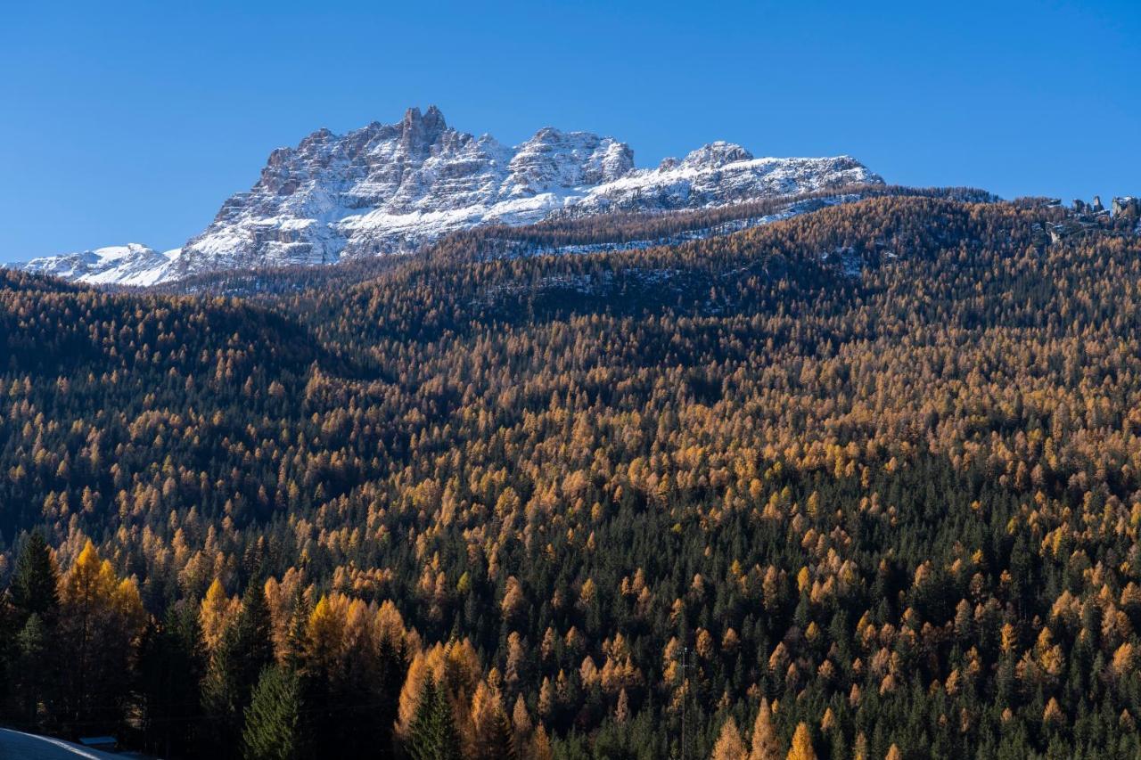 Suite - Vue sur Montagne