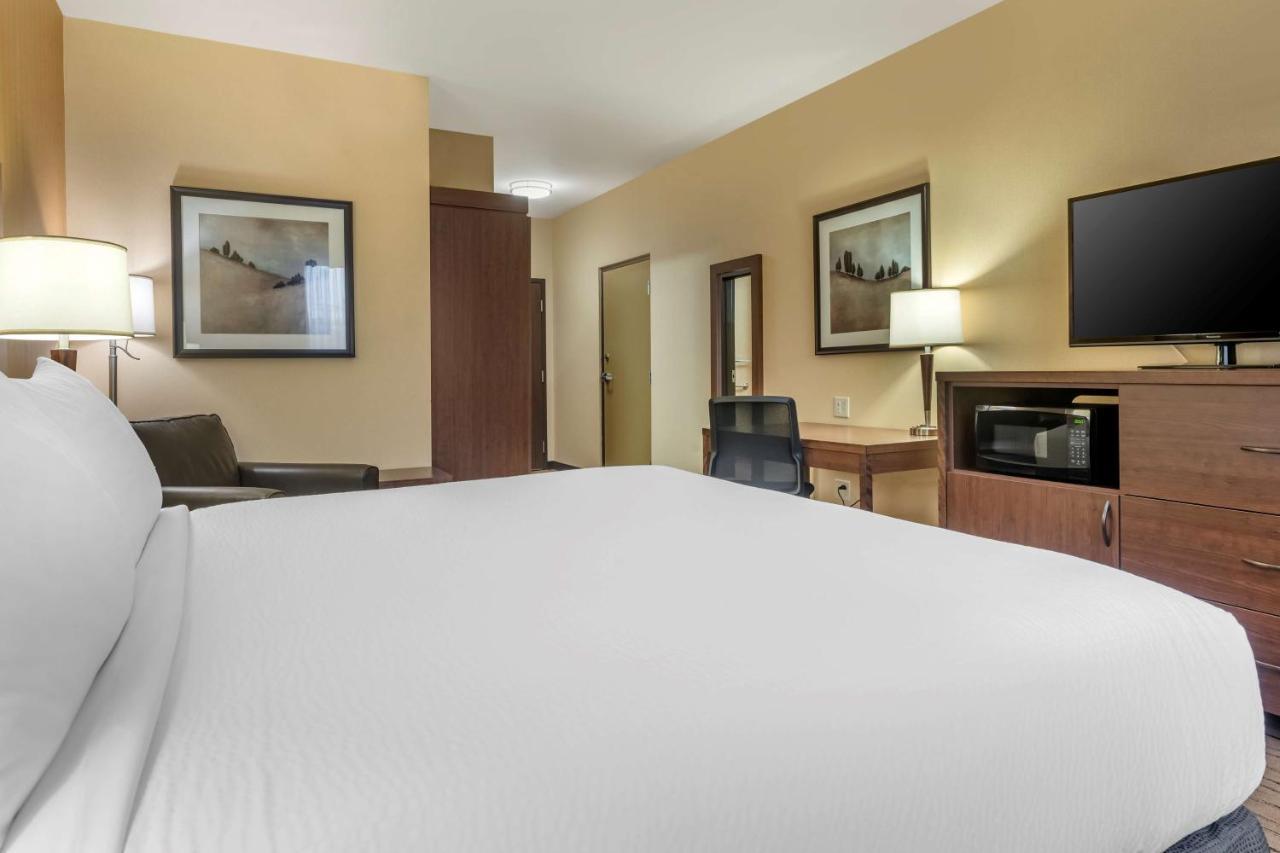 King Room - Non-Smoking