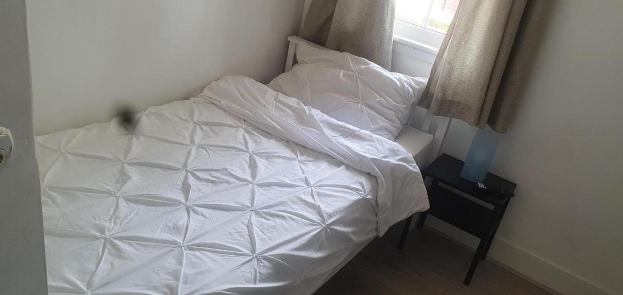 Single Room,1270951945:JPEG